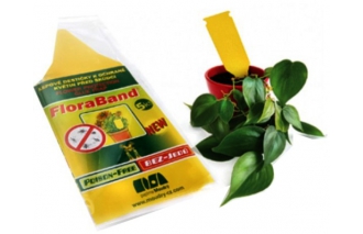 Lepové šípky žlté Floraband 5ks k ochrane rastlín