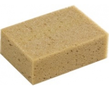 Špongia 