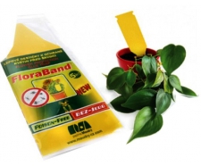 Lepové šípky žlté Floraband 5ks k ochrane rastlín